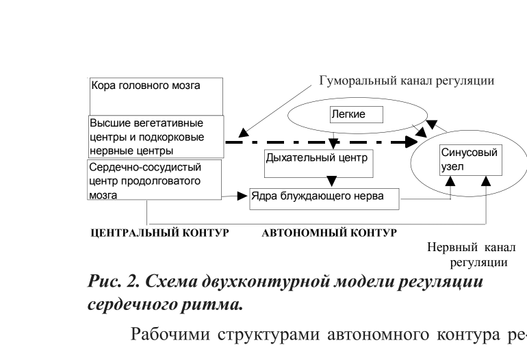Рис. 2. Схема двухконтурной модели регуляции сердечного ритма